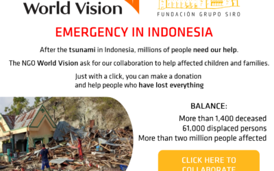 Emergency in Indonesia